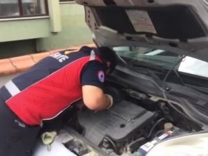 Aracın Motor Kısmına Giren Kedi İnatçı Çıkınca İşe Taksiyle Gitmek Zorunda Kaldı