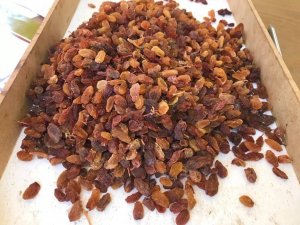 Bereketli Bir Sezon Geçiren Üzümcünün Yüzü Gülüyor