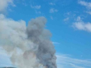 Gelibolu’da Orman Yangını