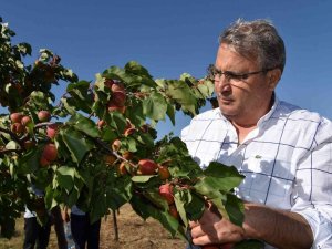 Yunusemre Üreticisine Desteğini Sürdürüyor