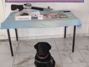 Tunceli’de Uyuşturucu Operasyonu: 1 Gözaltı