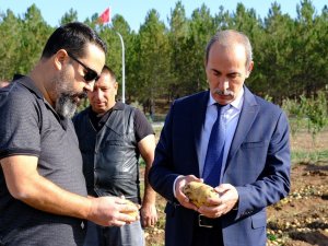 Akademik Patateslerin Hasadı Yapıldı