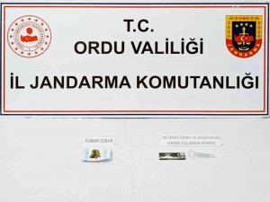 Ordu’da Uyuşturucu Operasyonunda 1 Kişi Tutuklandı