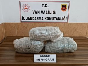 Van’da 9 Kilo 870 Gram Skunk Maddesi Ele Geçirildi