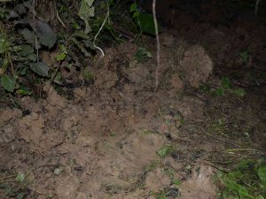 Ordu’da Yeni Doğmuş Bebek Toprağa Gömülü Olarak Bulundu