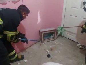 Siirt’te Eve Giren Yılanı İtfaiye Ekipleri Çıkardı