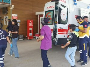 Teneffüsteki 15 Öğrenciyi Arılar Soktu, Okula 1 Gün Ara Verildi