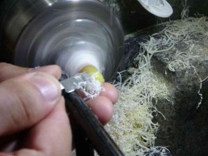 Tespih Tutkusu Usta Yaptı