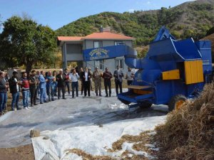 Yedisu’da ’Horoz Kuru Fasulyesi Hasat Şenliği’ Düzenlendi