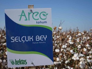 Hektaş, Dünya Pamuk Günü’nde İki Milli Tohumunu Duyurdu