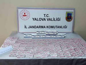 Yalova’da Tırda Gizlenmiş 3 Bin 920 Adet Uyuşturucu Hap Ele Geçirildi