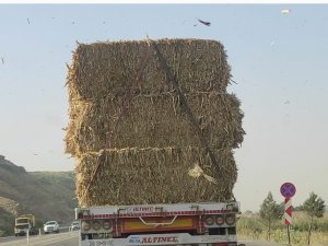 Samanları Yola Serpe Serpe İlerleyen Tır Trafiği Tehlikeye Soktu