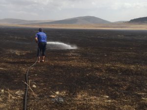 Ardahan’da Çıkan Anız Yangını Söndürüldü