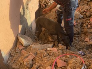Metruk Binada Mahsur Kalan Köpeği İtfaiye Kurtardı