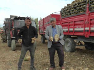 Türkiye’nin En Kaliteli Pancarında ‘Fire Arttı’ İddiası