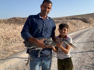 Dikenli Tele Takılan Balıkçıl Kuş Kurtarıldı