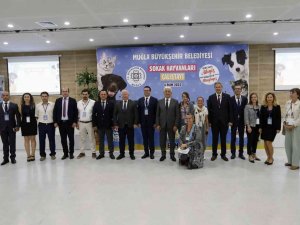 Sokak Hayvanları Çalıştayı’nın Sonuç Bildirgesi Yayınlandı