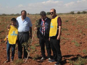 Kilis’te Çiftçiye Fidan Desteği