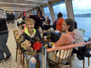 Üsküdar’da Hayvanseverler Ve Minik Dostlarına Boğaz Turu