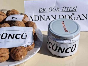 Adilcevaz’da 25. Ceviz Festivali Ve Kültür Etkinlikleri Düzenlendi