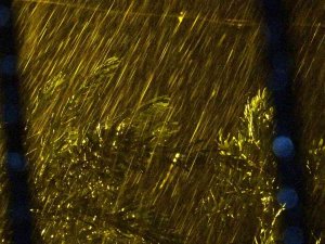 Osmaniye’de Gök Gürültülü Sağanak Yağış Etkili Oldu