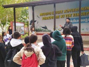 Karacabey’in Doğası Öğrencilere İlham Kaynağı Oluyor