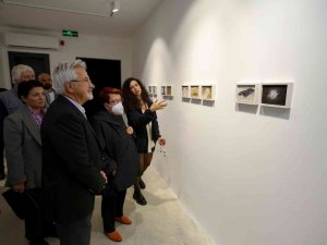 ’Tekinsiz’ Sergi İzlenime Açıldı