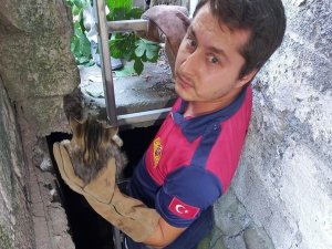 Su Kuyusuna Düşen Kediyi İtfaiye Kurtardı