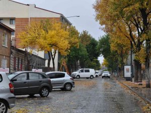 Kars’ta Sonbaharda Renk Cümbüşü Yaşanıyor
