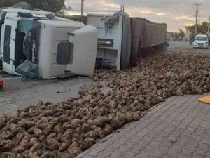 Konya’da Tır Devrildi, Sürücüsü Öldü