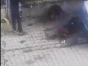Köpeği Böyle Tekmeledi