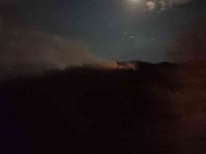 Orman Yangını Büyümeden Söndürüldü