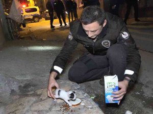 Polislerin "Hırsız Var" Diye Tırmandıkları Evden Yavru Kedi Çıktı