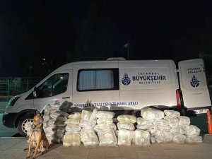 Cenaze Değil, Uyuşturucu Taşıyor
