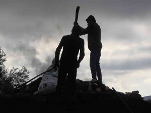 Mangal Kömürü Üreticilerinin Zorlu Mücadelesi