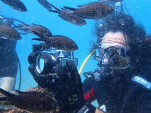 Keşif Dalışında İlk Defa Görüldü: Zehirli Dikenli Çizgili Kedi Balığı Akdeniz’e Yerleşti