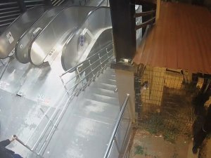 Kartal’da Hırsızlar Demir Kapı Çaldı, Yürüyen Merdivenleri Kırdı