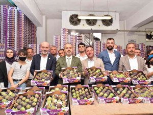 Bursa Büyükşehir, Üreticiye Can Suyu Oldu