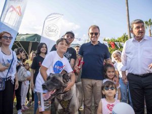 Mersin Pati Festivali Renkli Görüntülere Sahne Oldu