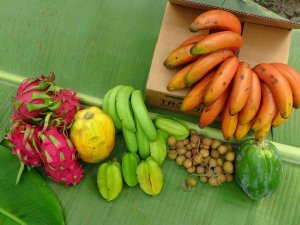 Tropik Bölgelerde Bile Ender Olarak Yetiştirilen Kırmızı Muzun Manavgat’ta İlk Hasadı Yapıldı