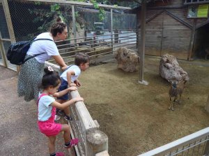 Büyükşehir Belediyesi Hayvanat Bahçesini 500 Bin Vatandaş Ziyaret Etti