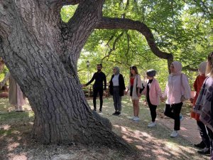 Asırlık Ağaçlar Haritalandırılıyor