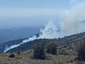 İ̇zmir’de Ormanlık Alandaki Yangın Kontrol Altında