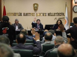 Samsun Meclisi Toplandı, 37 Madde Komisyonlara Havale Edildi