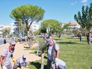 Ayvalık Artık Çok Daha Yeşil