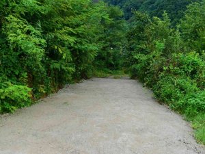 Ordu’da Engelli Ve Yaşlı Kadının Ulaşım Sorunu Çözüldü