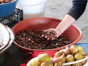 Kestane Pazara İndi, Kilosu 45 Tl