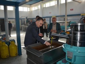 Edremit’te Zeytinin, Zeytinyağına Yolculuğu Başladı