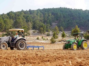 Ücretsiz Tohum Ve Ekimle Toroslar’da Boş Tarlalar Üretime Katılıyor