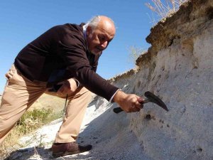 Muş Ovası’nda İlk Kez 12 Milyon Yıllık Olduğu Düşünülen Deniz Canlıları Fosiline Rastlandı